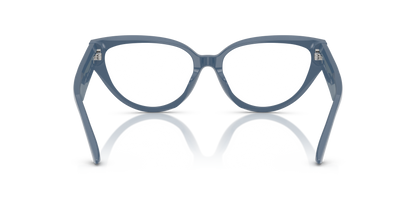 JIMMY CHOO JC3023HU 5020 55