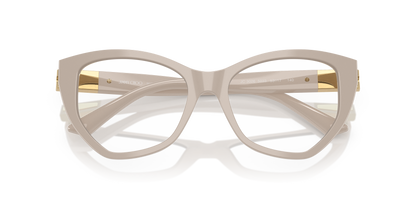 JIMMY CHOO JC3026 5033 51