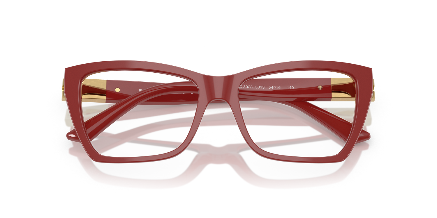 JIMMY CHOO JC3028 5013 54