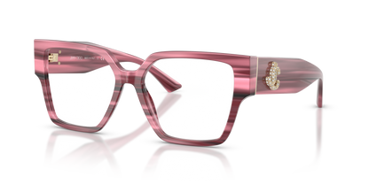 JIMMY CHOO JC3032B 5064 55