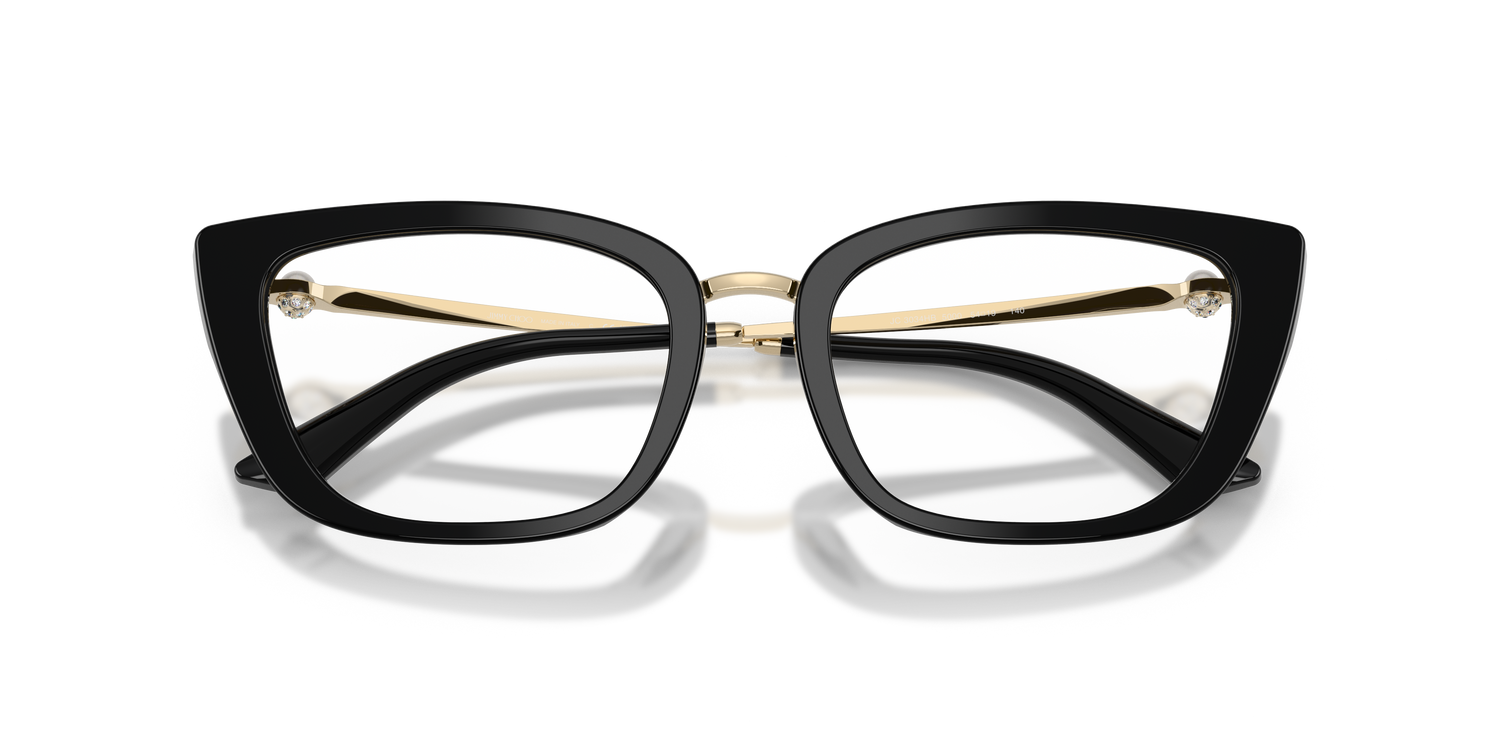 JIMMY CHOO JC3034HB 5000 54