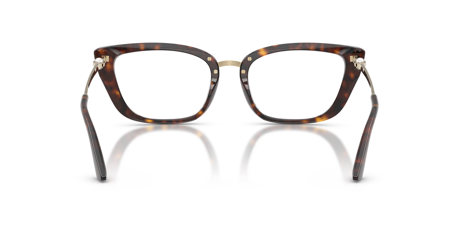 JIMMY CHOO JC3034HB 5002 52