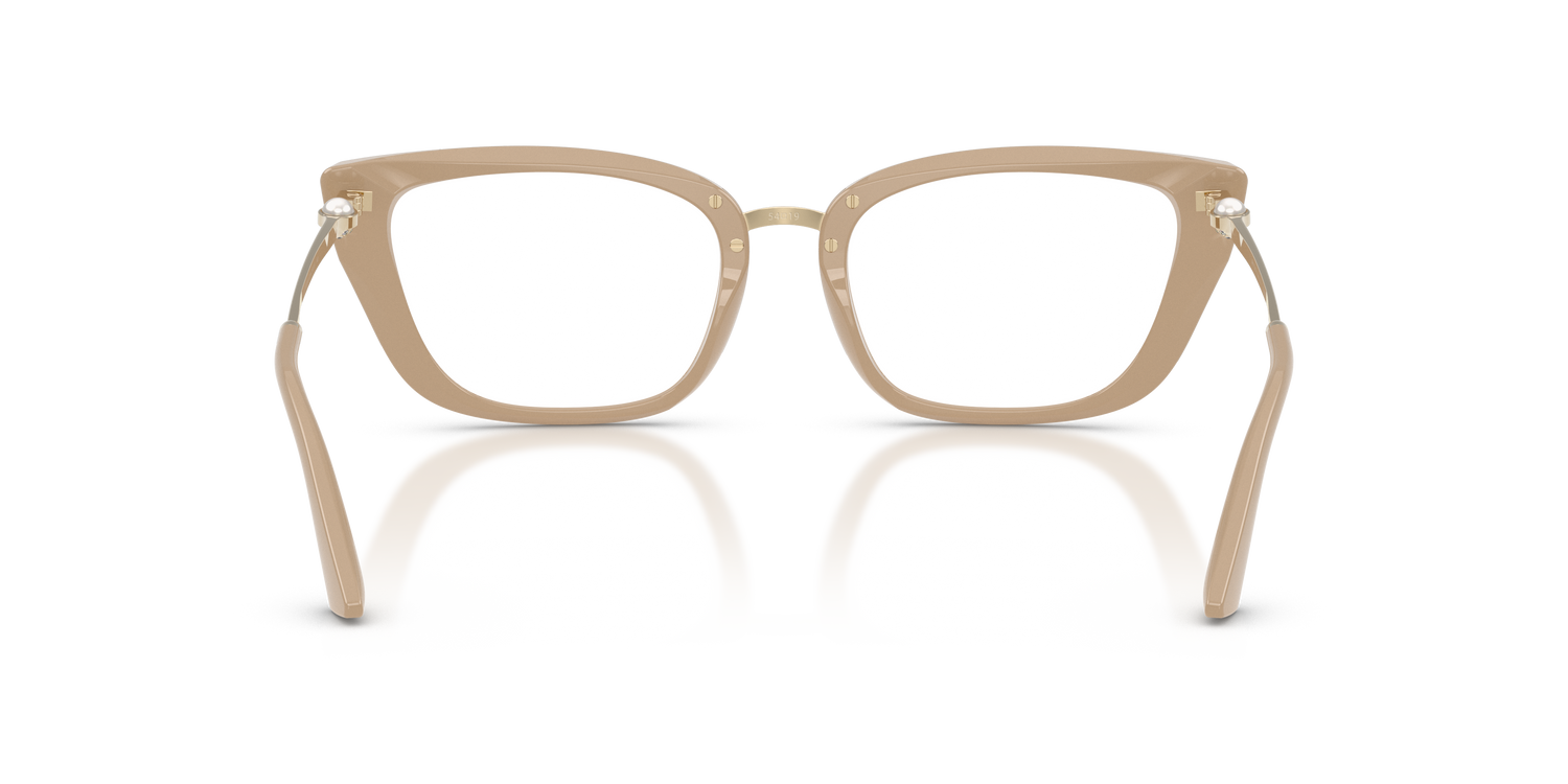 JIMMY CHOO JC3034HB 5015 54