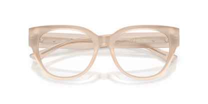 JIMMY CHOO JC3035 5025 53