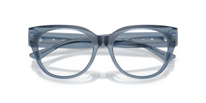 JIMMY CHOO JC3035 5067 51