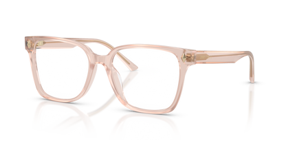 JIMMY CHOO JC3038D 5052 54