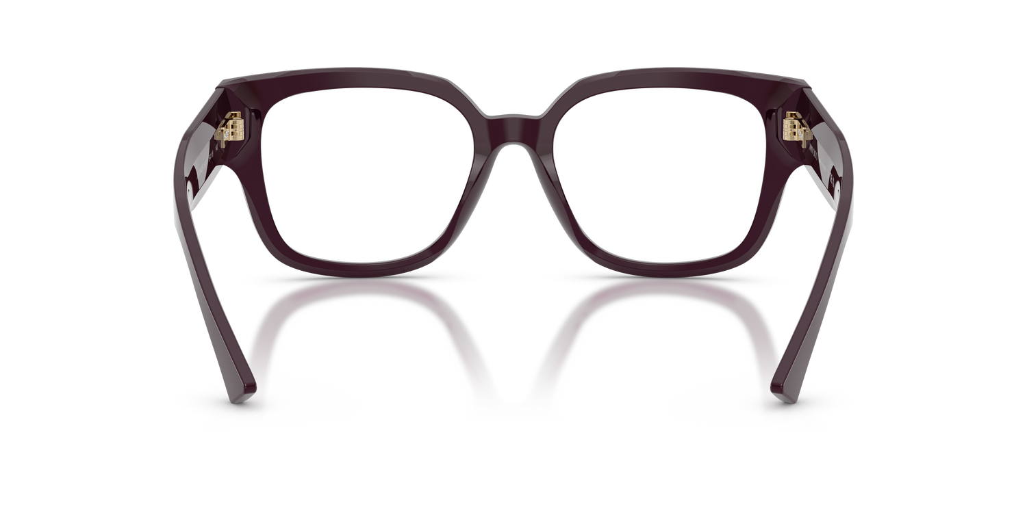 JIMMY CHOO JC3042B 5075 54