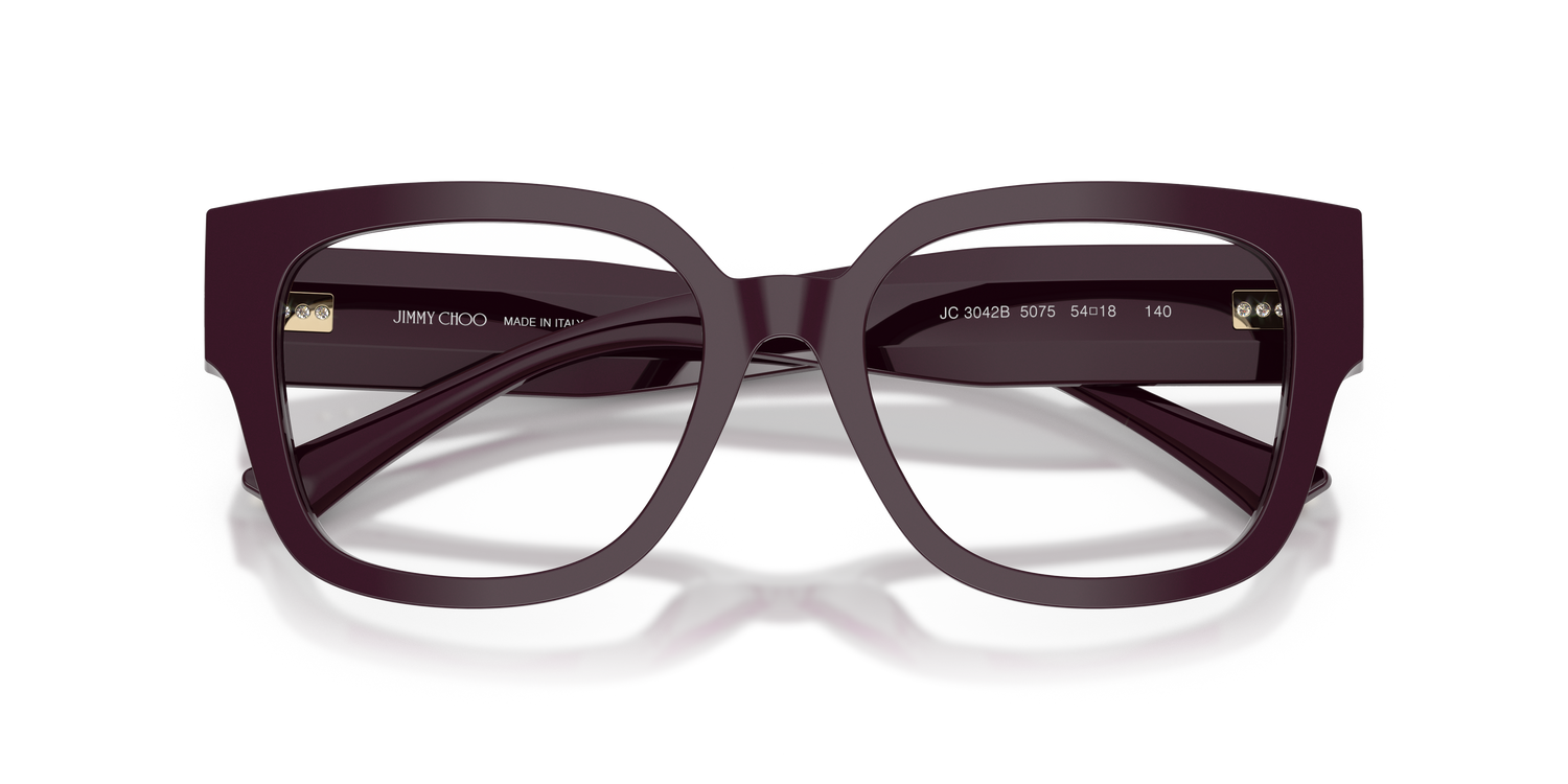 JIMMY CHOO JC3042B 5075 54