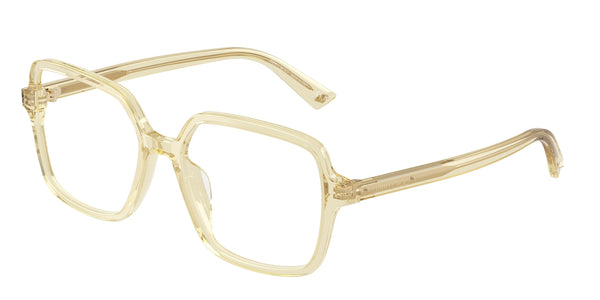 JIMMY CHOO JC3046U 5083 55