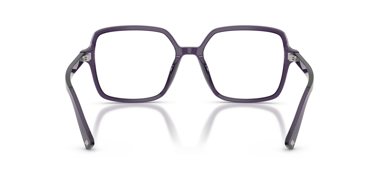 JIMMY CHOO JC3046U 5087 55