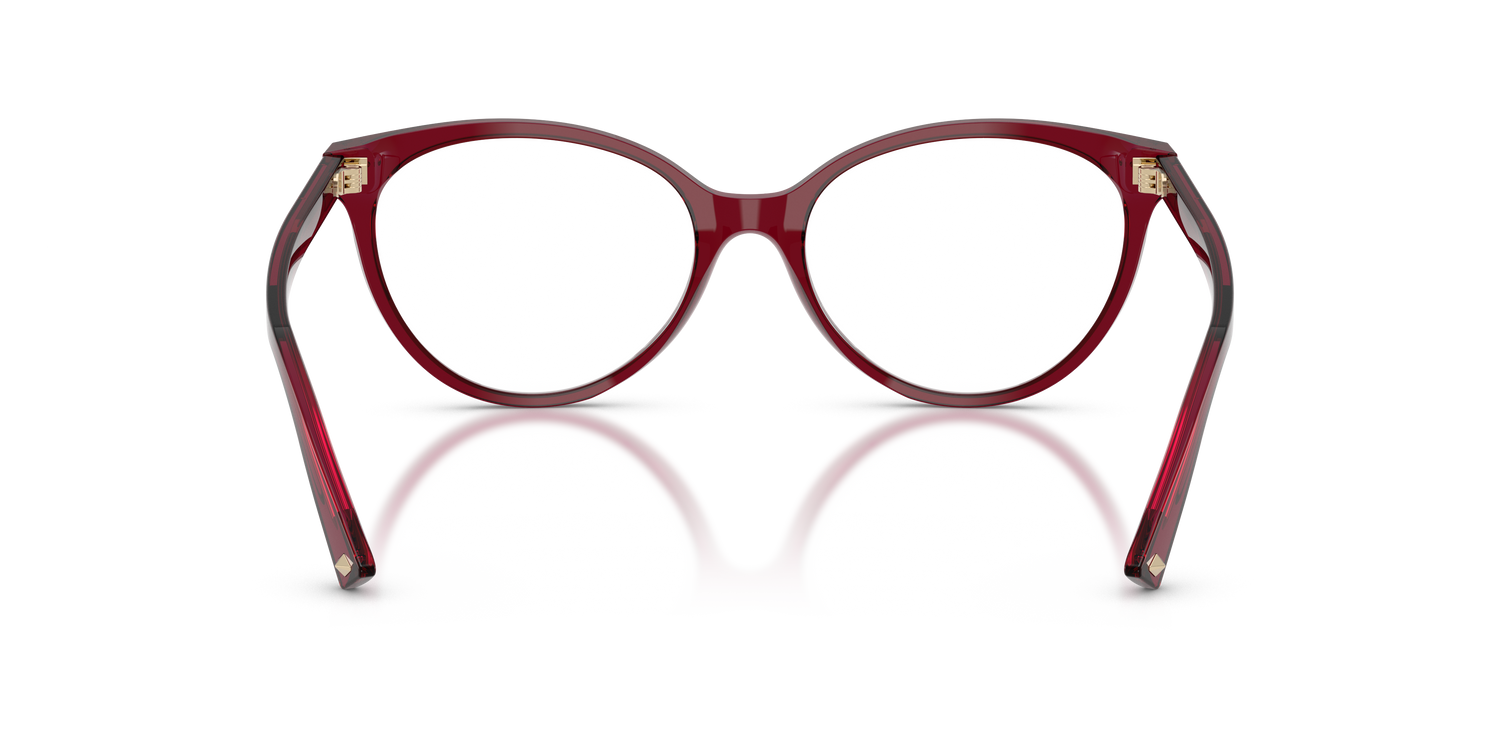 JIMMY CHOO JC3047 5062 52