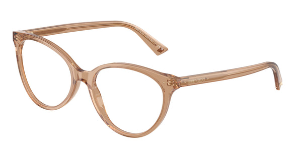 JIMMY CHOO JC3047 5076 55