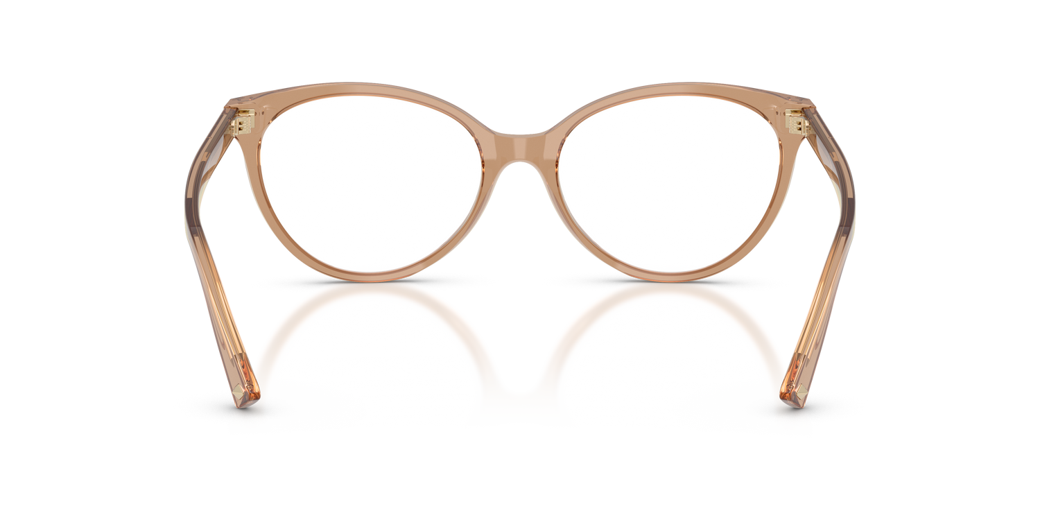 JIMMY CHOO JC3047 5076 55