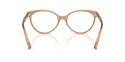 JIMMY CHOO JC3047 5076 55