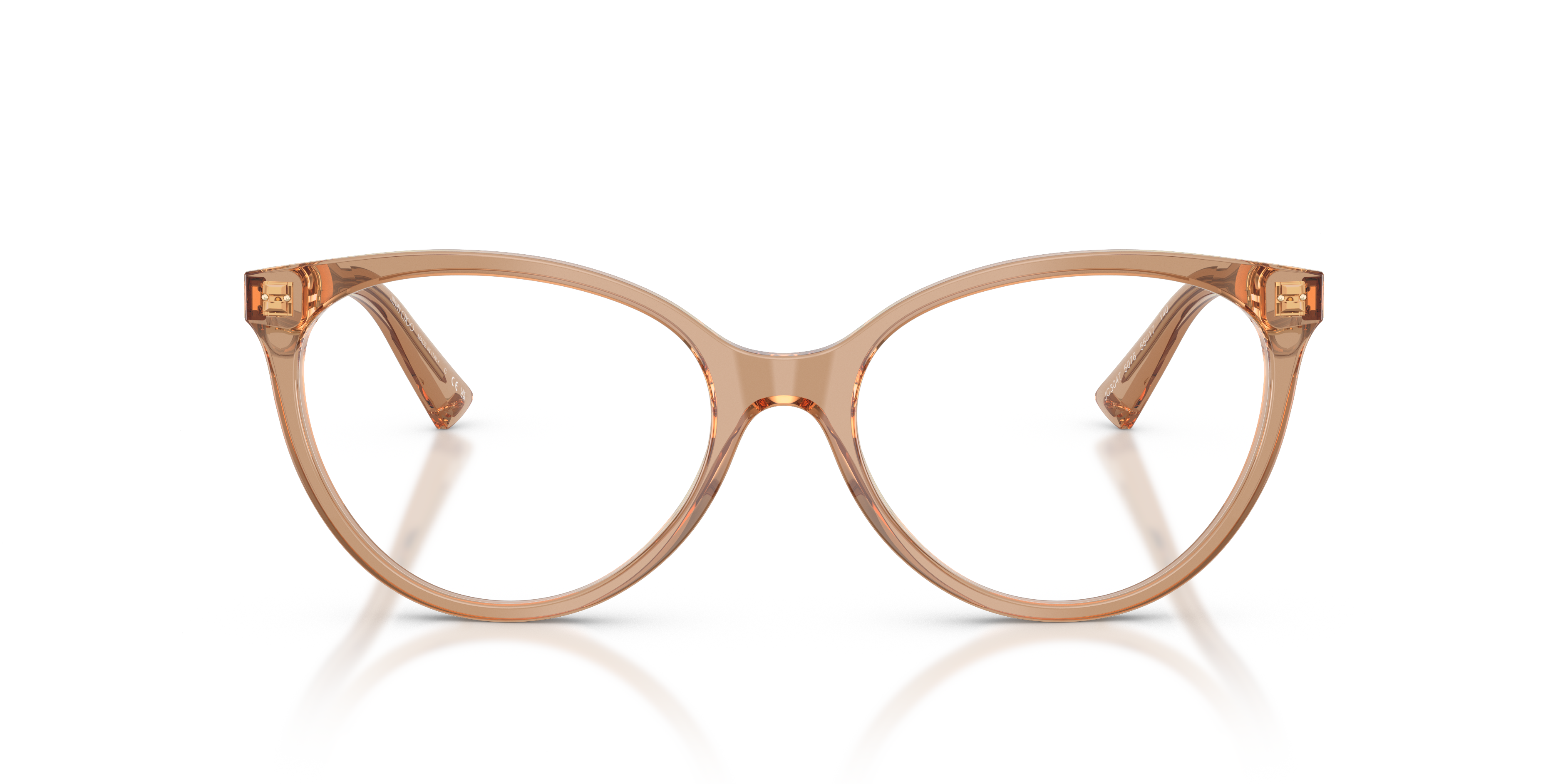 JIMMY CHOO JC3047 5076 55