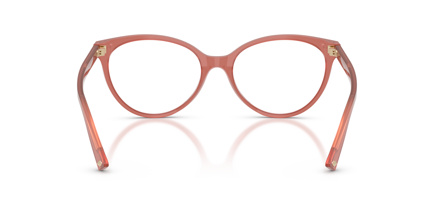 JIMMY CHOO JC3047 5084 55