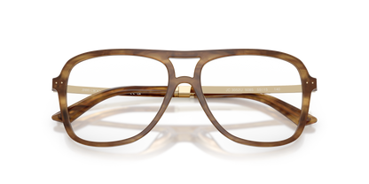 JIMMY CHOO JC3052U 5085 53