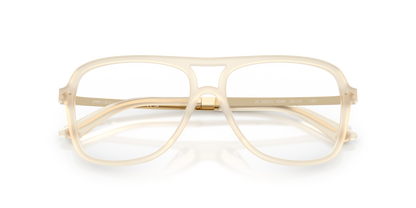 JIMMY CHOO JC3052U 5089 53