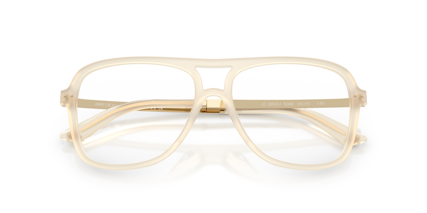 JIMMY CHOO JC3052U 5089 55