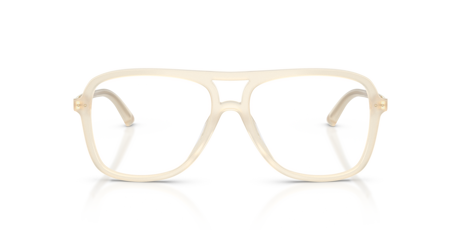 JIMMY CHOO JC3052U 5089 53