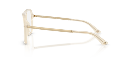 JIMMY CHOO JC3052U 5089 53