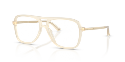 JIMMY CHOO JC3052U 5089 53