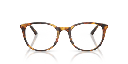 JIMMY CHOO JC3055D 5110 52