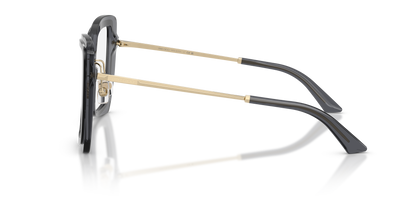 JIMMY CHOO JC3059 5103 52