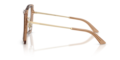 JIMMY CHOO JC3059 5105 52