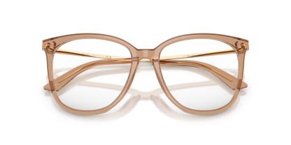 JIMMY CHOO JC3060 5076 55