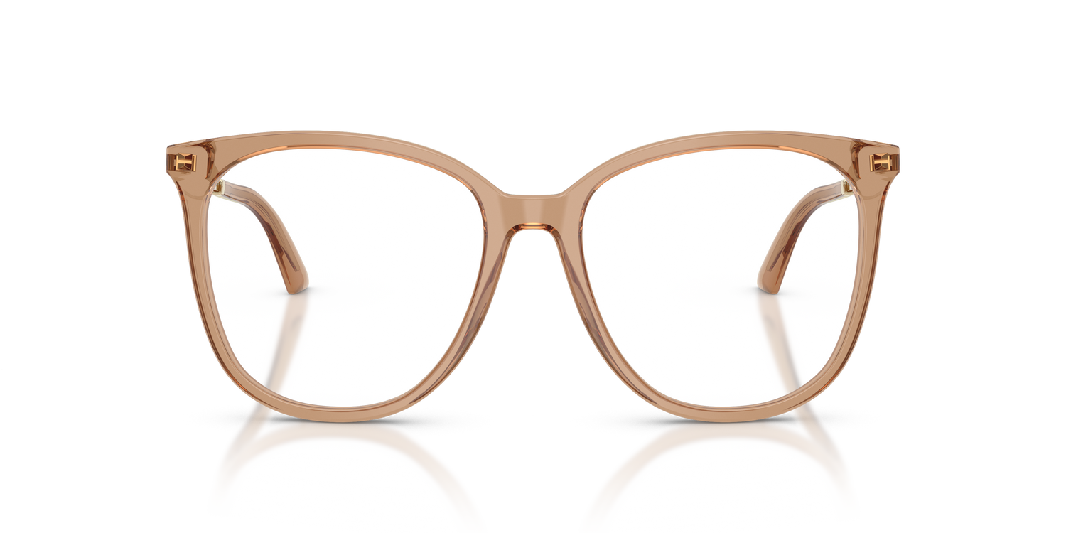 JIMMY CHOO JC3060 5076 55