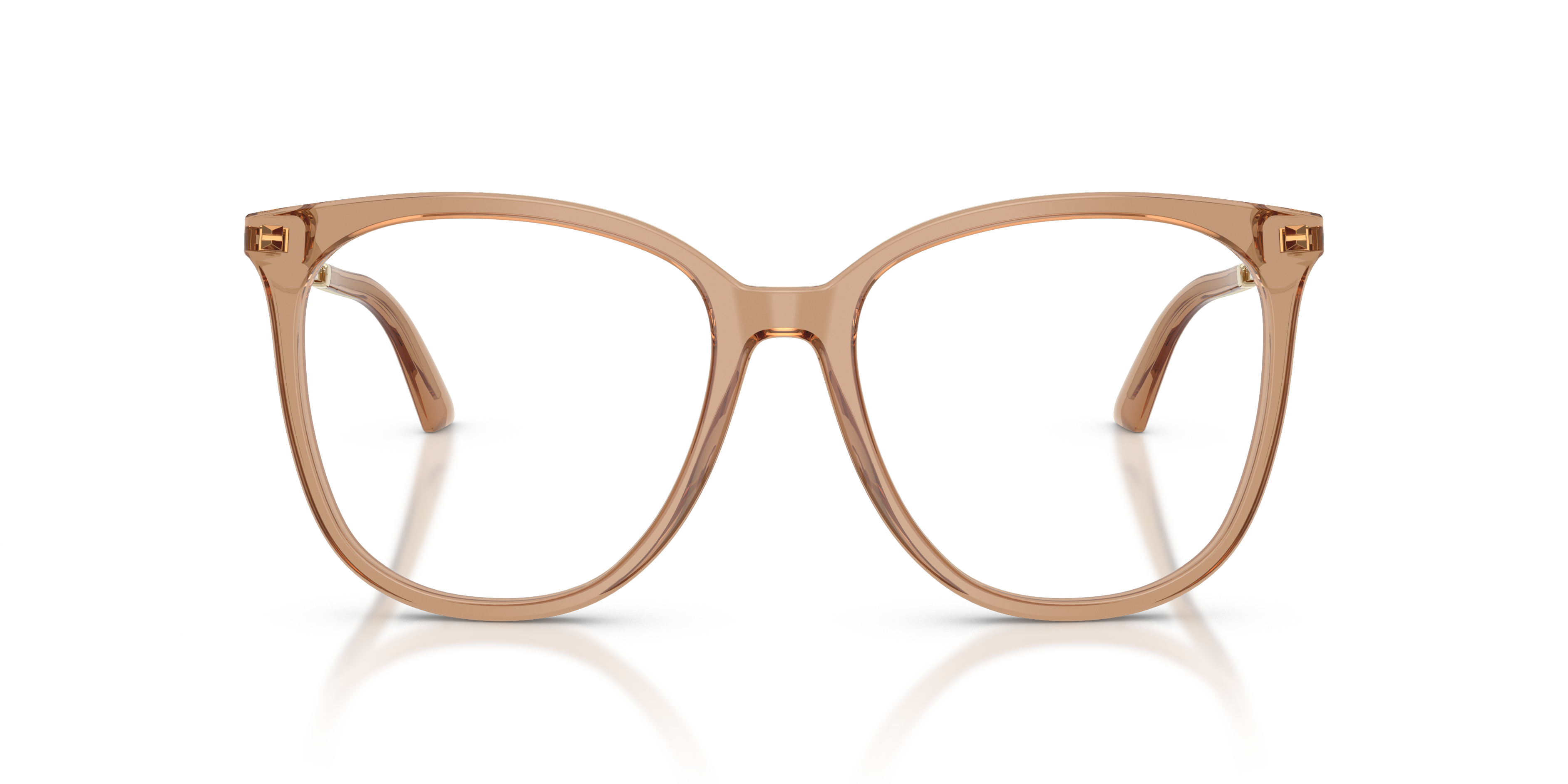 JIMMY CHOO JC3060 5076 55