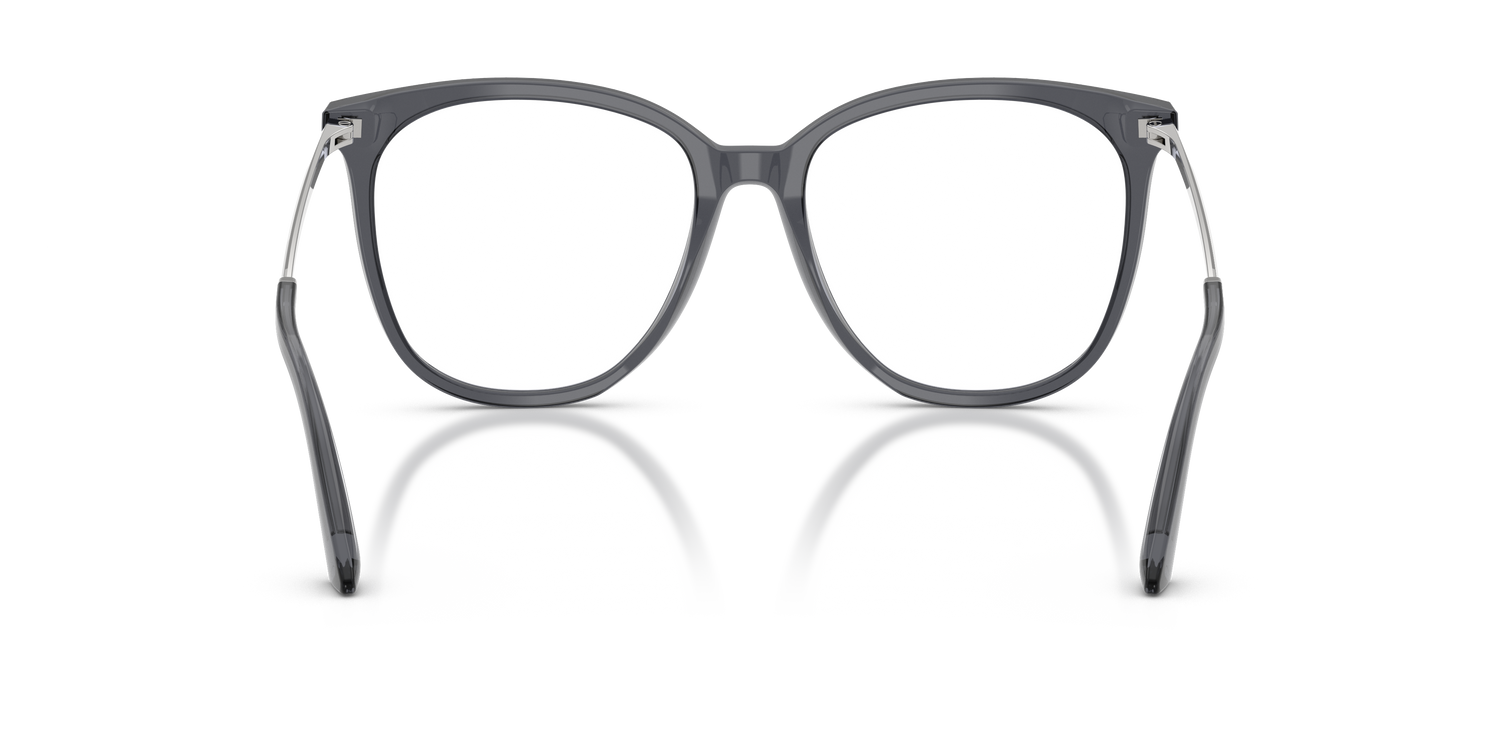 JIMMY CHOO JC3060 5106 53