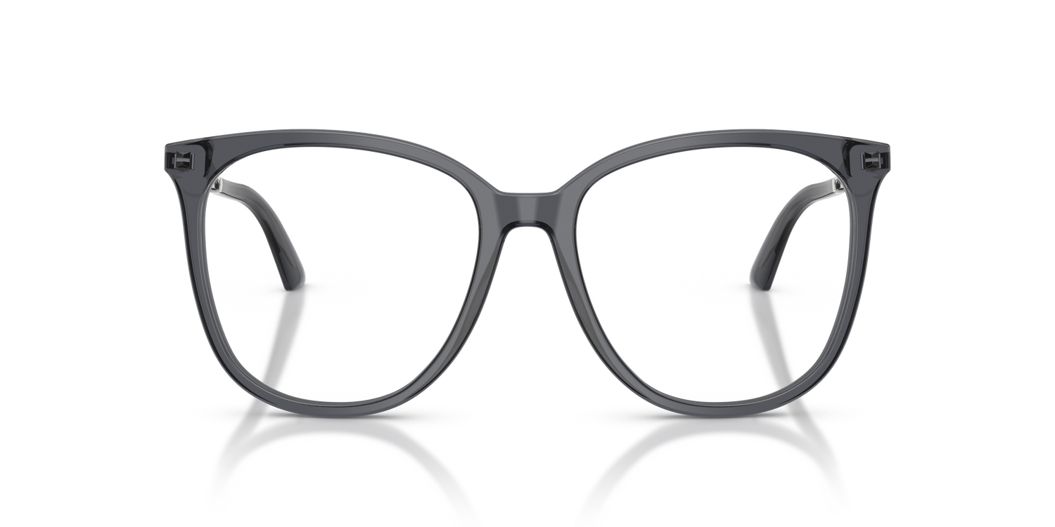 JIMMY CHOO JC3060 5106 55