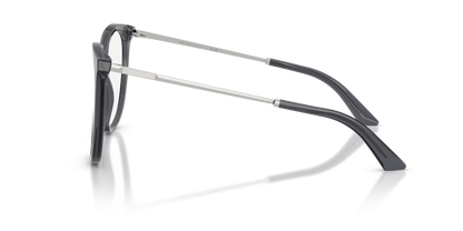 JIMMY CHOO JC3060 5106 55