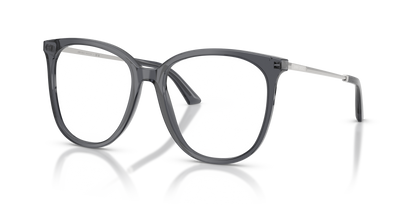 JIMMY CHOO JC3060 5106 55