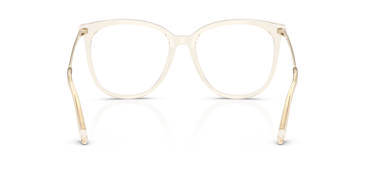 JIMMY CHOO JC3060 5107 53