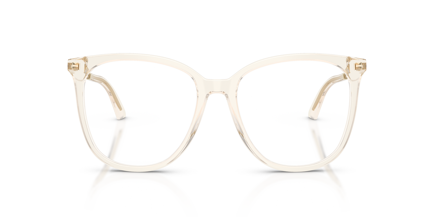 JIMMY CHOO JC3060 5107 53