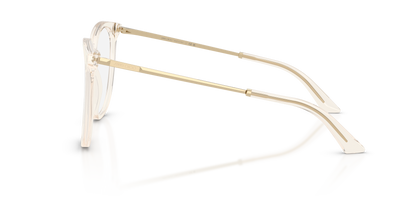 JIMMY CHOO JC3060 5107 55