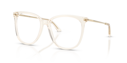 JIMMY CHOO JC3060 5107 55