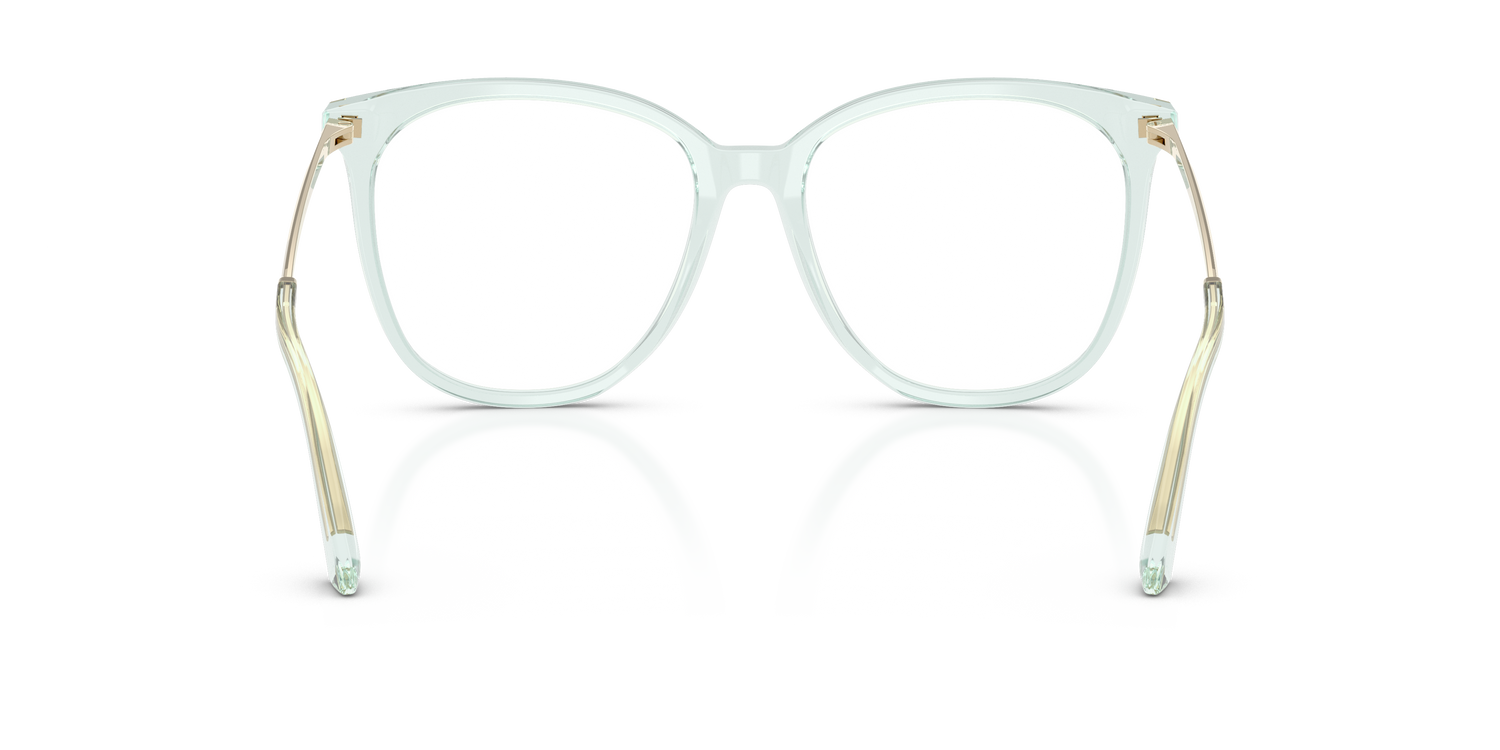 JIMMY CHOO JC3060 5108 53