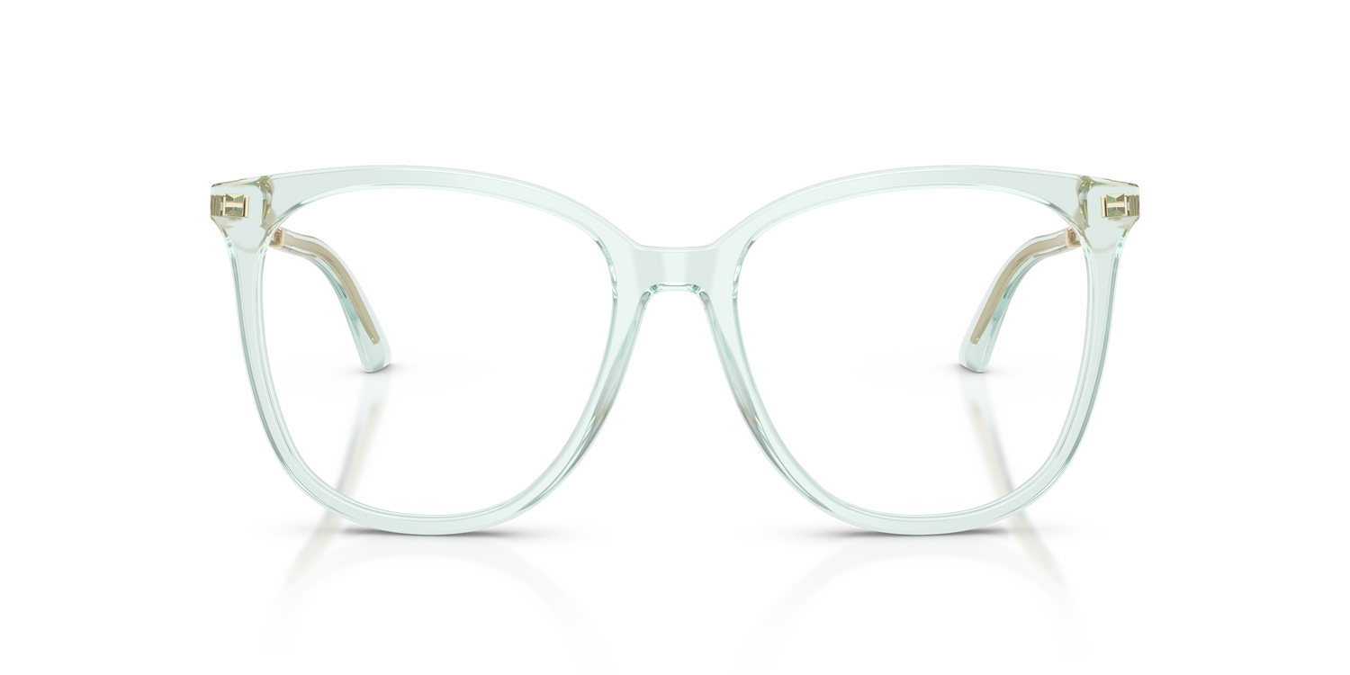 JIMMY CHOO JC3060 5108 53