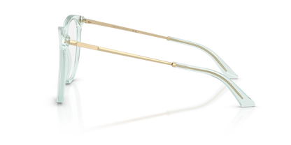 JIMMY CHOO JC3060 5108 55