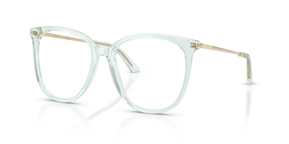 JIMMY CHOO JC3060 5108 53