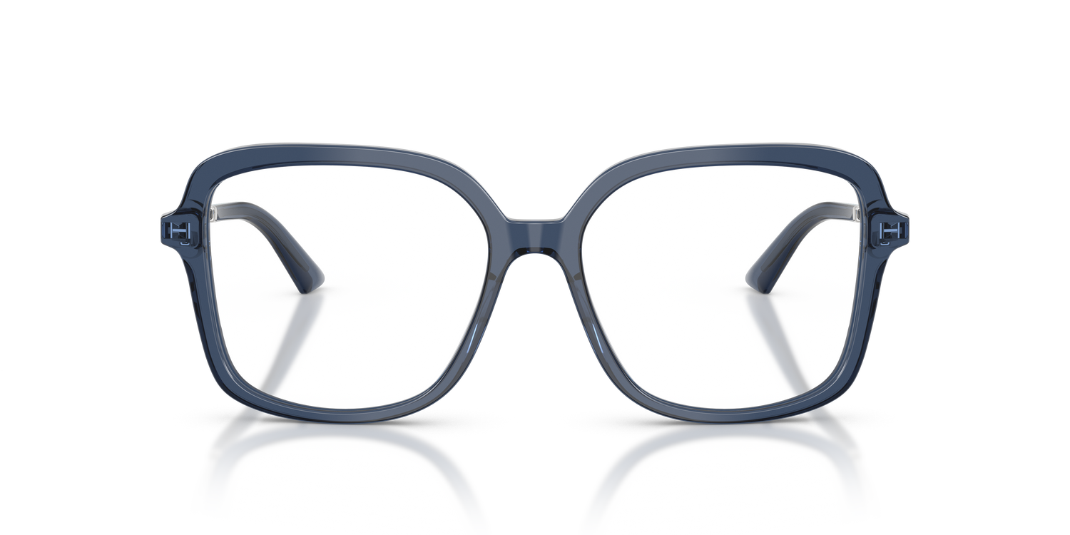 JIMMY CHOO JC3061U 5035 53