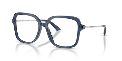 JIMMY CHOO JC3061U 5035 53