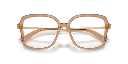 JIMMY CHOO JC3061U 5076 53