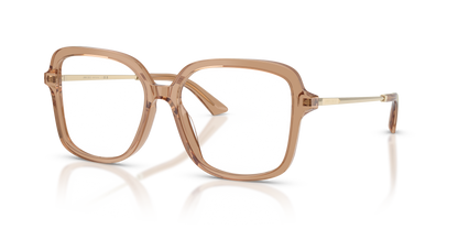 JIMMY CHOO JC3061U 5076 53