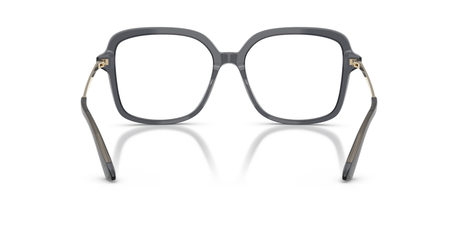 JIMMY CHOO JC3061U 5106 55