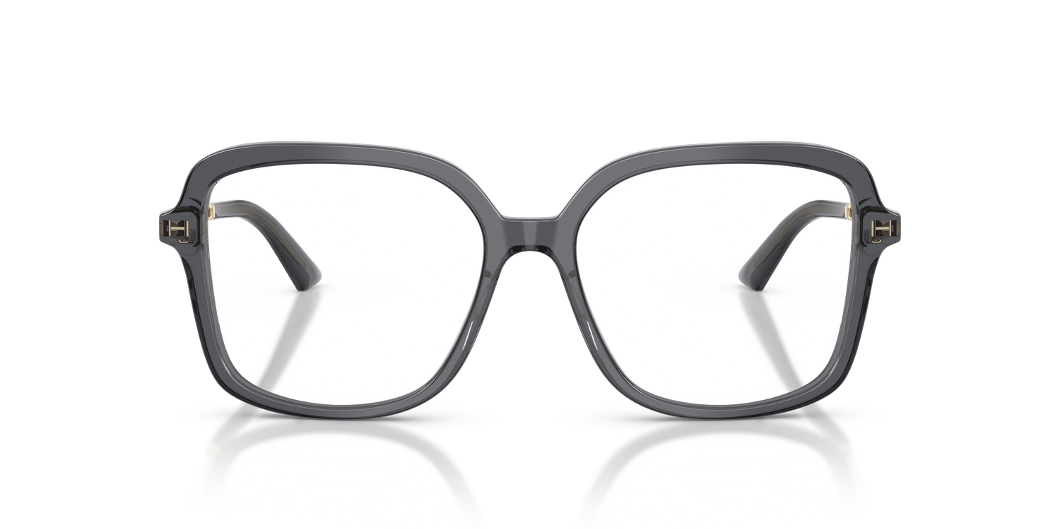 JIMMY CHOO JC3061U 5106 53